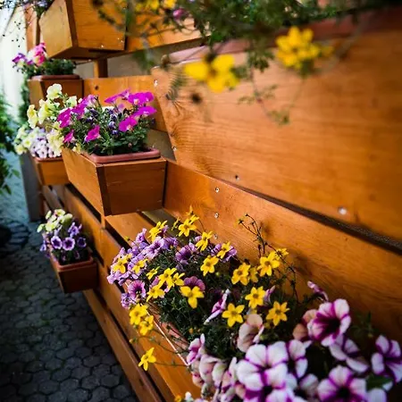 Apartman Pastorale *